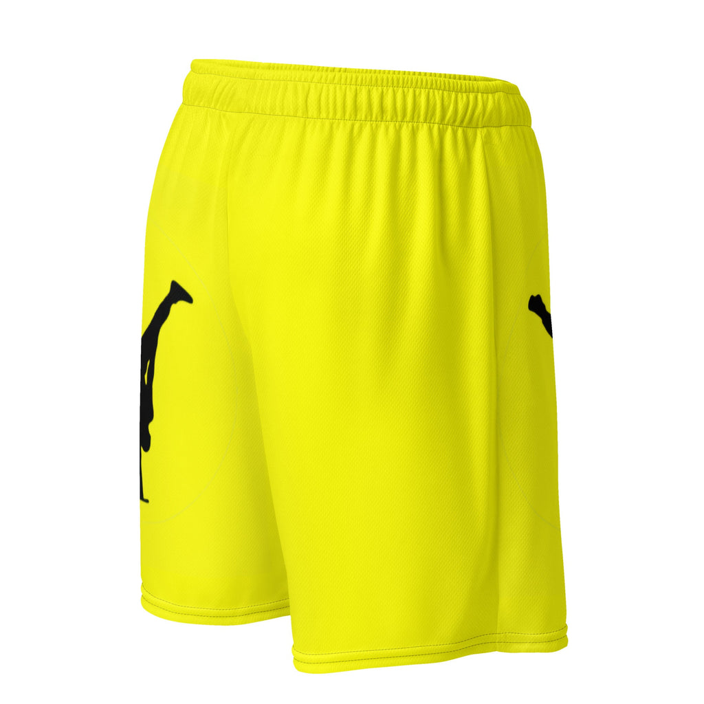 The Balance Guru Unisex mesh shorts - Gregg Acini Adoree Designs - Shorts