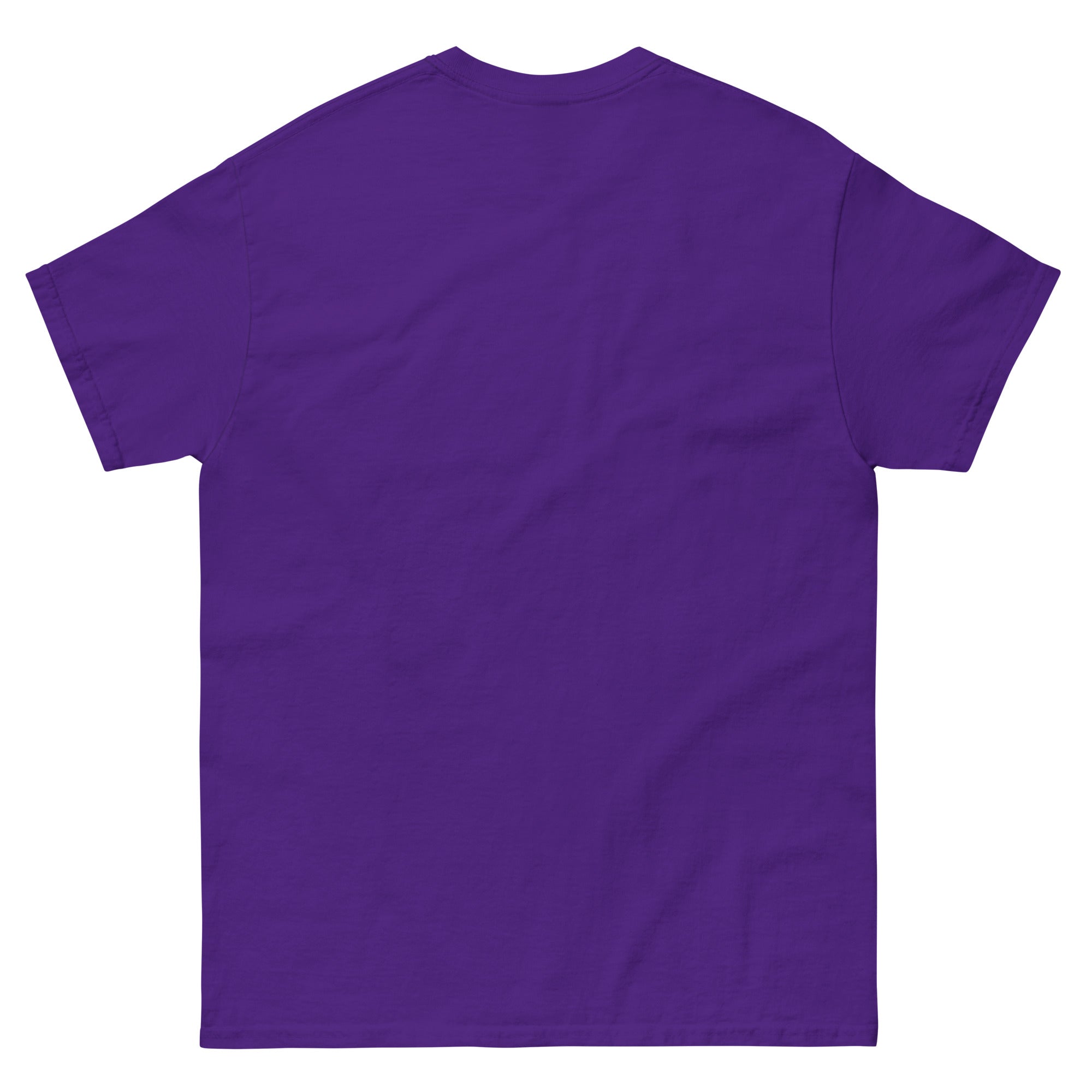 Woman with Turtles Unisex classic tee - Gregg Acini Adoree Designs - T-Shirt
